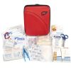 LifeLine AAA Commuter Kit - AAA Kit / Auto Kit for Vehicles